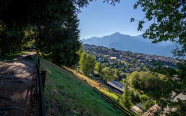 Building land - image - 1
