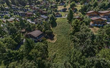 Building land - image - 1