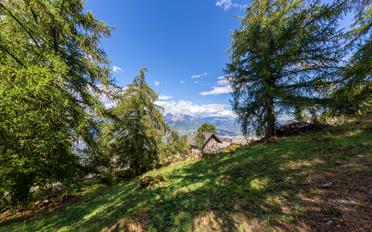 Chalet 8.5 Zimmer - image - 1