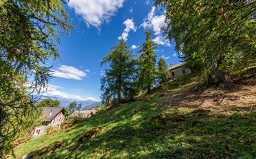 Chalet 8.5 Zimmer - image - 2