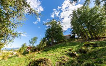Chalet 8.5 Zimmer - image - 3