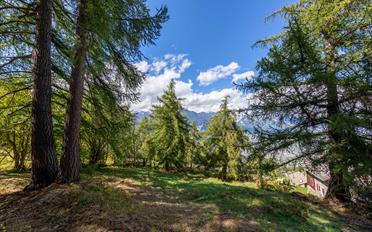 Chalet 8.5 Zimmer - image - 4