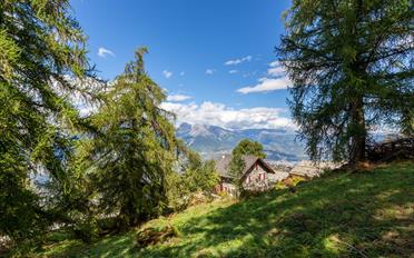 Chalet 8.5 Zimmer - image - 6