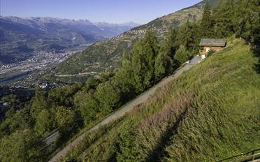 Building land - image - 1