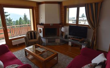 Wohnung - image - 2