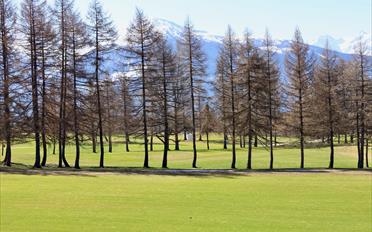 Appartement 4.5 pièces - image - 7