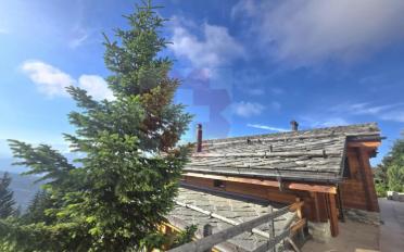 Chalet 10 Zimmer - image - 4