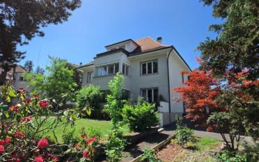 Single house 10 rooms - image - 1