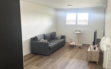 Attikawohnung 3.5 Zimmer - image - 3
