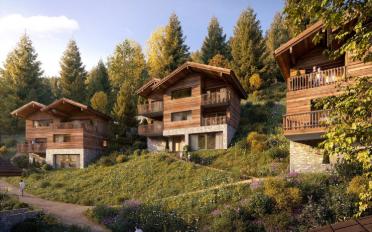 Chalet 5.5 pièces - image - 2
