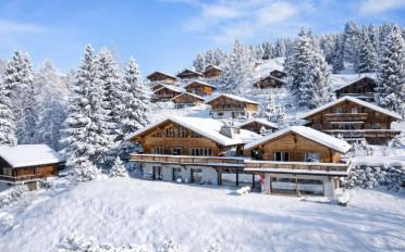 Chalet 10 rooms - image - 2
