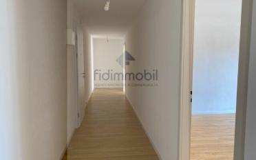 Wohnung 3 Zimmer - image - 8