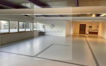 Commercial - image - 7