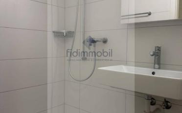 Apartment 1 room - image - 4
