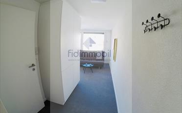 Studio 1 room - image - 4
