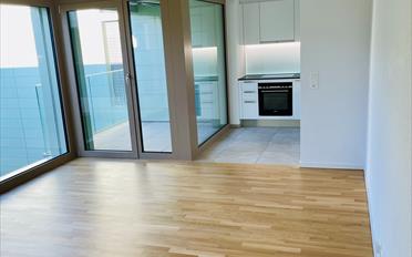 Studio 1 pièce - image - 1
