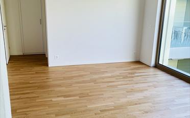 Studio 1 pièce - image - 2
