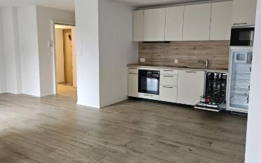 Wohnung 2.5 Zimmer - image - 1
