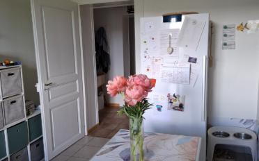 Appartement 4.5 pièces - image - 7