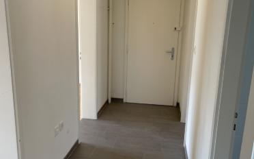 Wohnung 3 Zimmer - image - 5