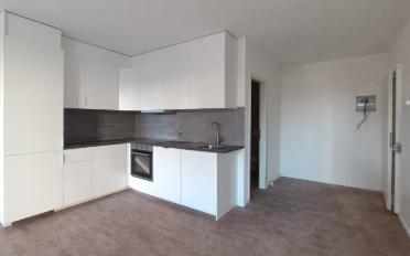 Appartement 2.5 pièces - image - 2