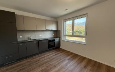 Studio 1.5 rooms - image - 4