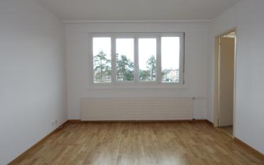 Studio - image - 2