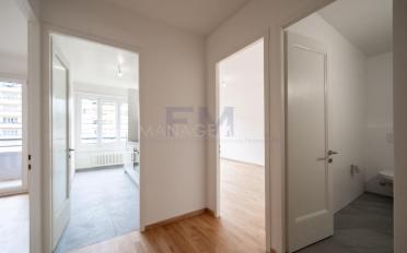 Wohnung 2.5 Zimmer - image - 4