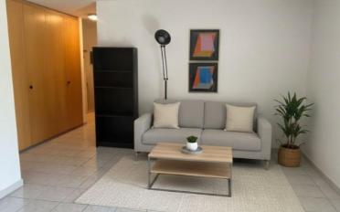 Wohnung 4.5 Zimmer - image - 3