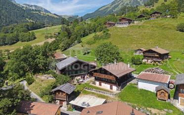 Chalet 6.5 pièces - image - 1