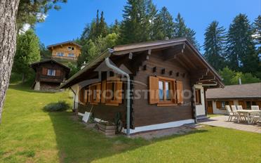 Chalet 5.5 Zimmer - image - 12