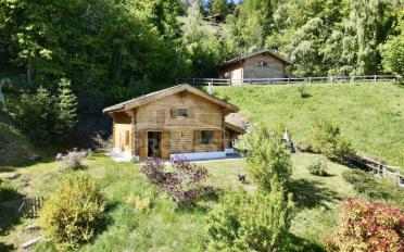 Chalet 3 Zimmer - image - 1