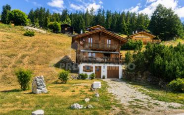 Chalet 4.5 pièces - image - 10