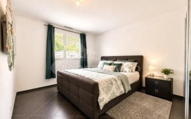 Wohnung 4 Zimmer - image - 3