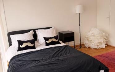 Furnished flat 1 room - image - 5