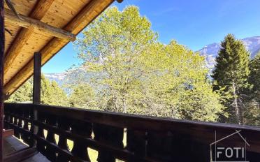 Chalet 7.5 pièces - image - 7