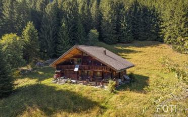 Chalet 7.5 pièces - image - 1
