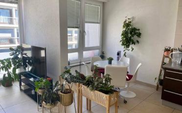 Furnished flat 2.5 rooms - image - 1
