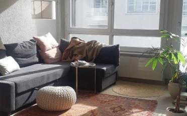 Furnished flat 2.5 rooms - image - 3