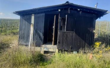 Einfamilienhaus ein Zimmer - image - 1