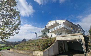 Wohnung 3.5 Zimmer - image - 1