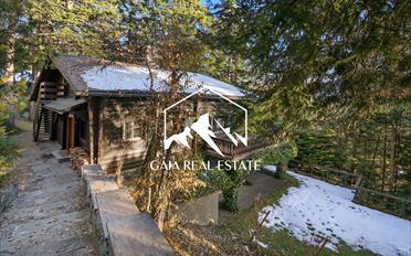 Chalet 7 rooms - image - 2