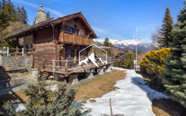 Chalet 12.5 pièces - image - 19