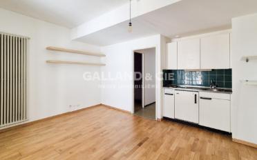 Wohnung ein Zimmer - image - 2