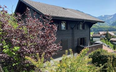 Chalet 8 Zimmer - image - 1