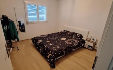 Attic flat 2.5 rooms - image - 5