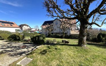 Duplex 6.5 Zimmer - image - 4