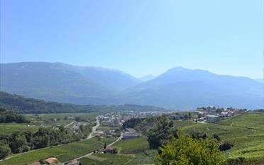 Villa 7 pièces - image - 10
