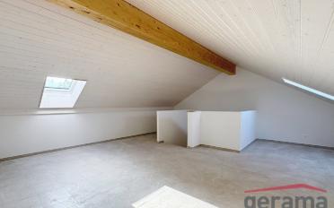Einfamilienhaus 5.5 Zimmer - image - 6