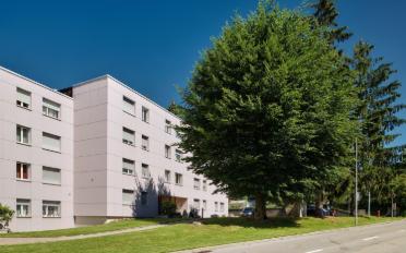 Apartment 3.5 rooms - image - 7
